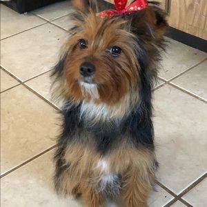 Meet your Posher, Paula